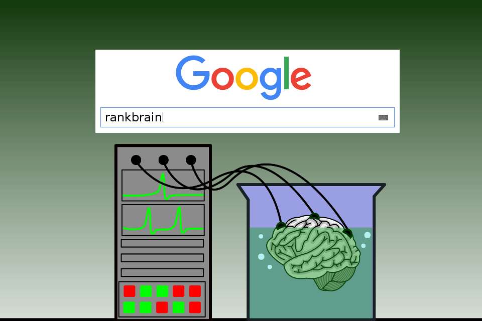 Rank Brain By Thomas Barregren Based On Template 42287 By Clkerfreevectorimages Via Pixabay Cc0 1.0