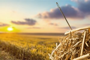 Needle In A Haystack.