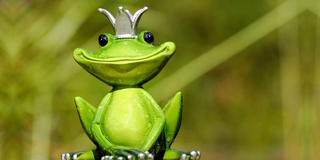 Frog 2240764
