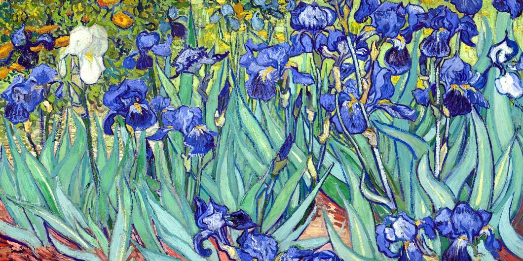 Irises By Vangogh Via Wikipedia
