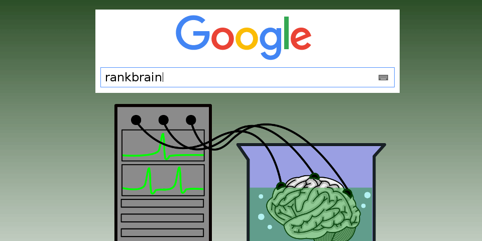 Rank Brain By Thomas Barregren Based On Template 42287 By Clkerfreevectorimages Via Pixabay Cc0 1.0