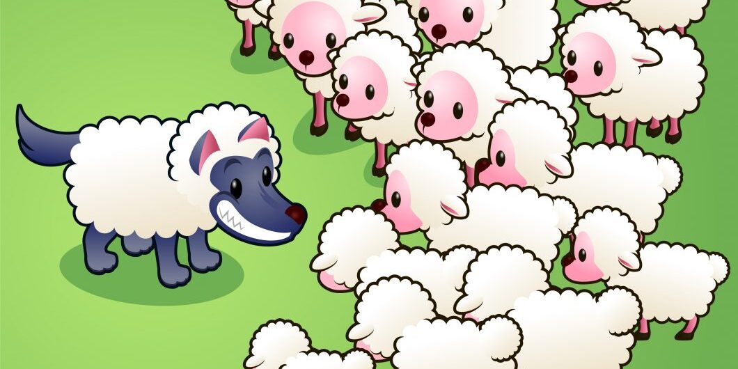 Wolf in sheep's clothes fooling a sheep flock by tomacco via istockphoto